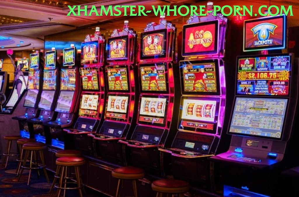 velobet interface sample